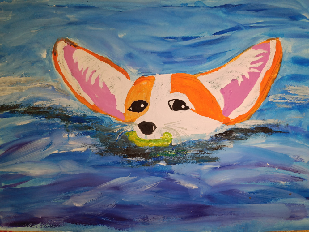 И корги любит плавать. 