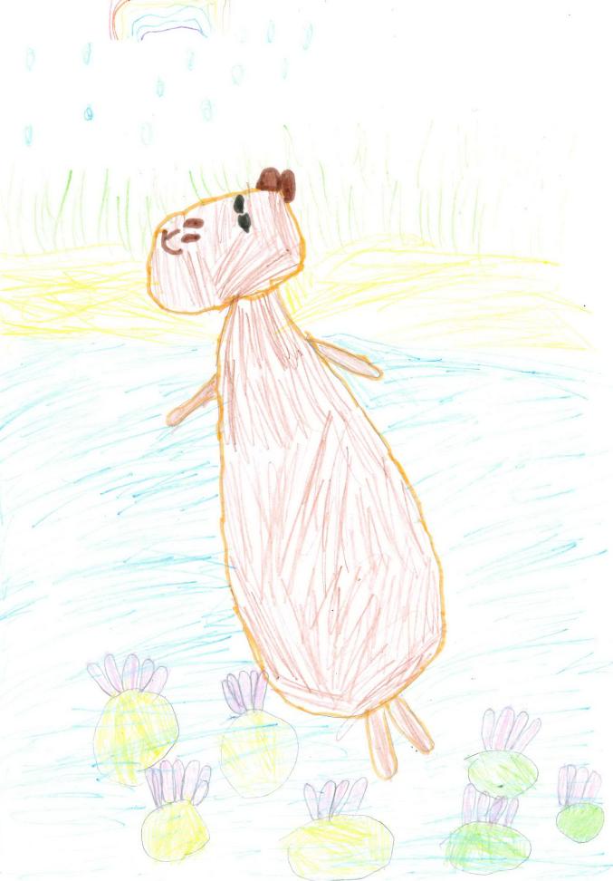 Капибара любит воду