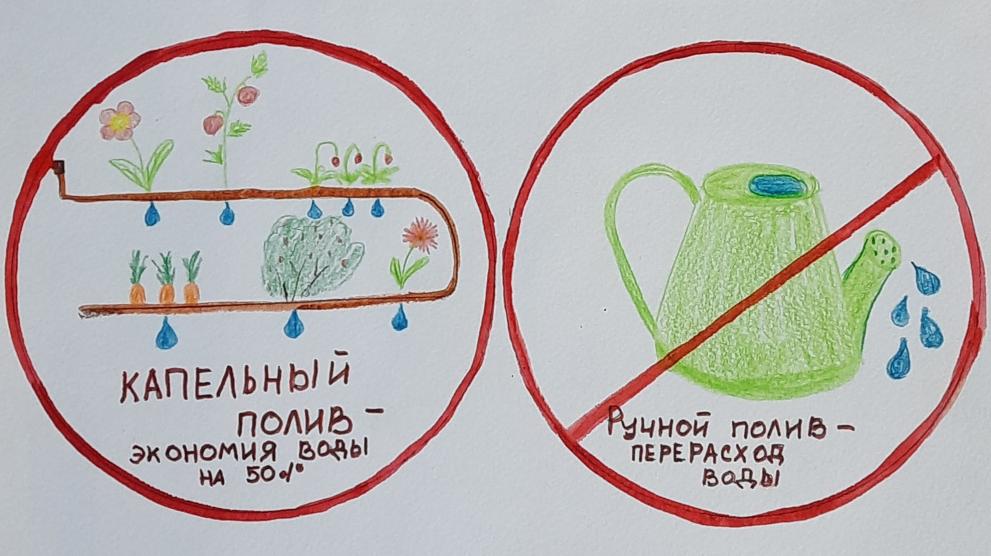 Выбирай капельный полив!