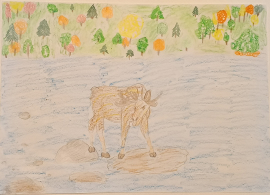 Бабаевский пруд