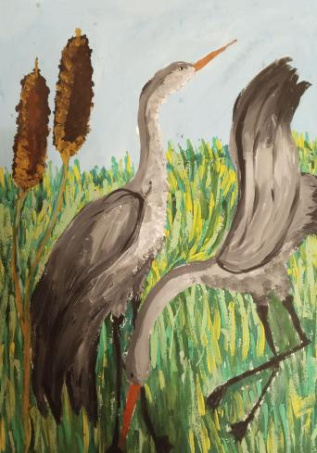 Цапли утром на берегу речки