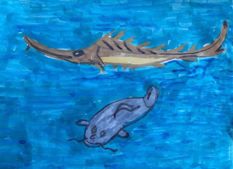 Красивые рыбки