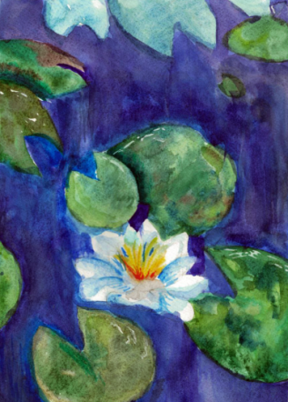 Кувшинка на пруду 