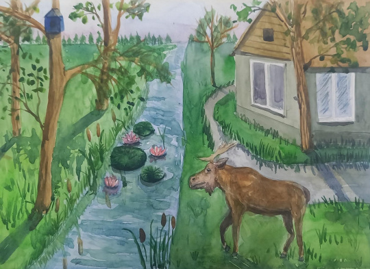 Лесная жизнь