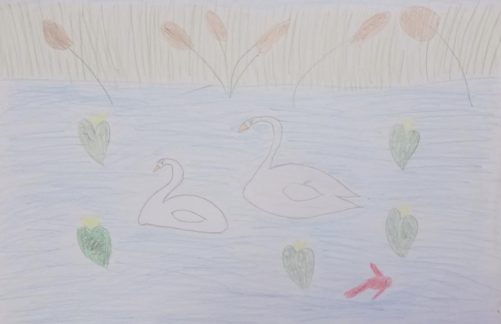 Летнее утро