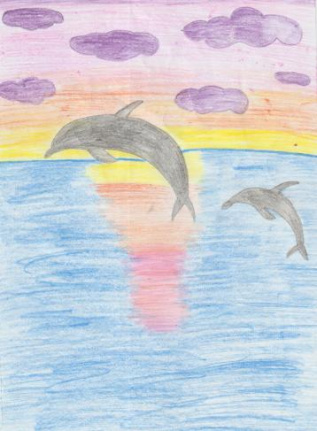 Жизнь дельфинов в морях России 