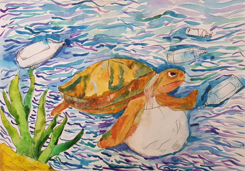 "Чистота- залог здоровой жизни..."