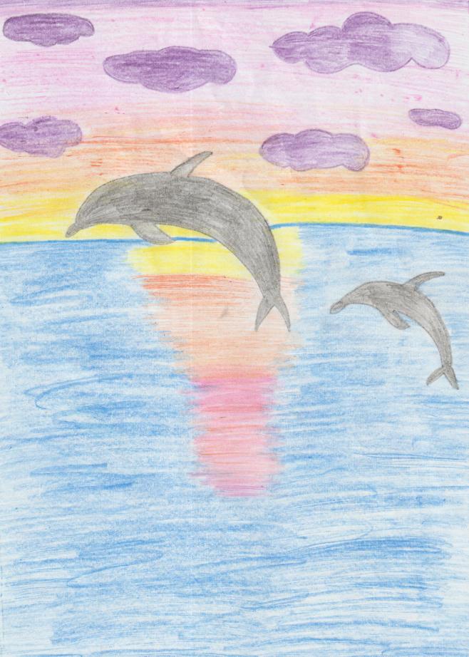 Жизнь дельфинов в морях России 