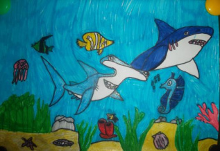 Жизнь в океане