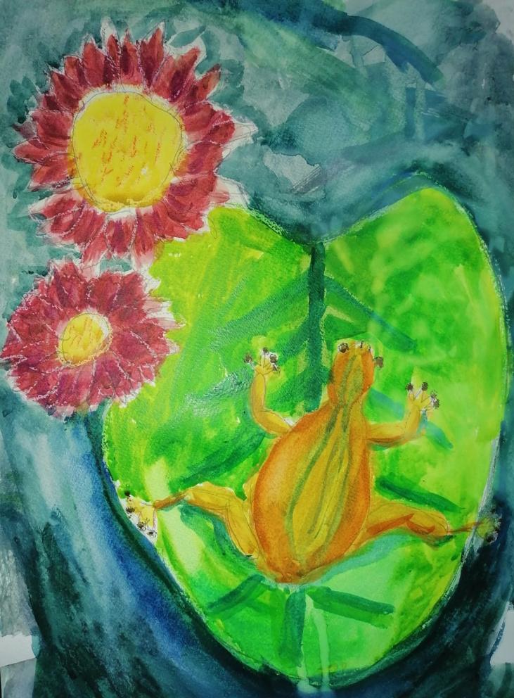 Лягушка на кувшинке