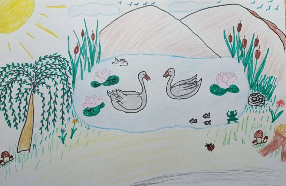 Гуси-лебеди на пруду