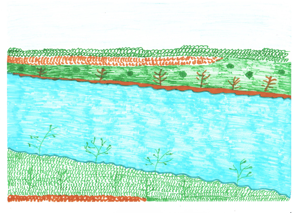 Мой любимый водоем