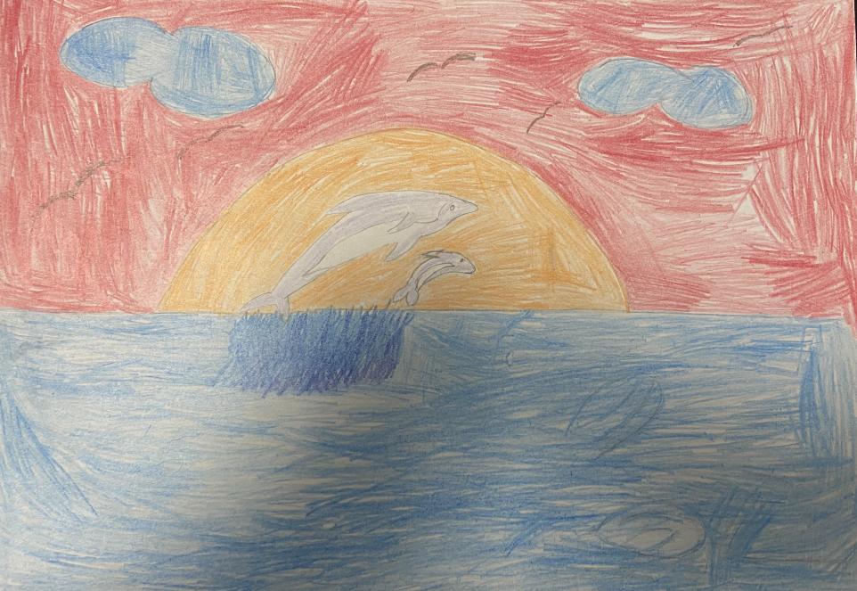 Дельфины в закате моря