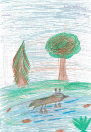 Лягушка "Кракрзябра"