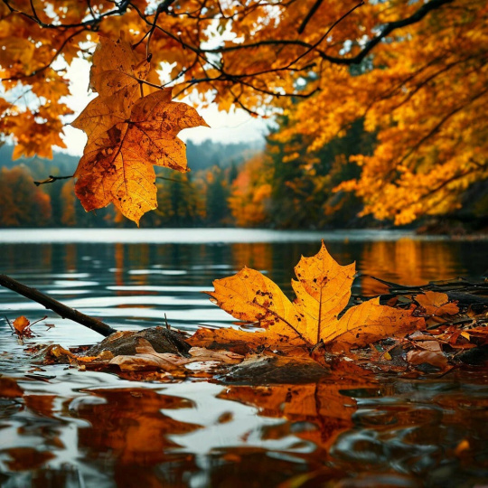 Осеннее озеро