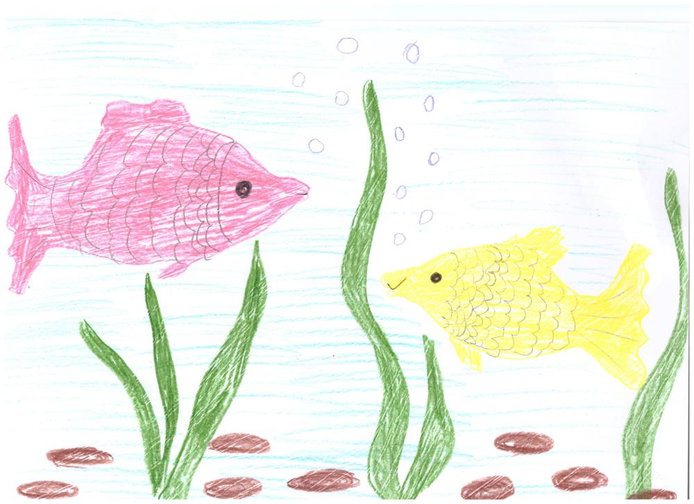 Весёлый переполох