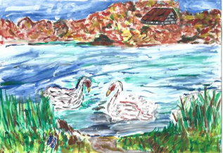 Любимая достопримечательность нашего поселка - пруд с лебедями