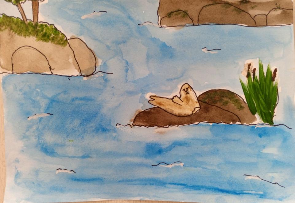 Нерпа на Ладожском озере