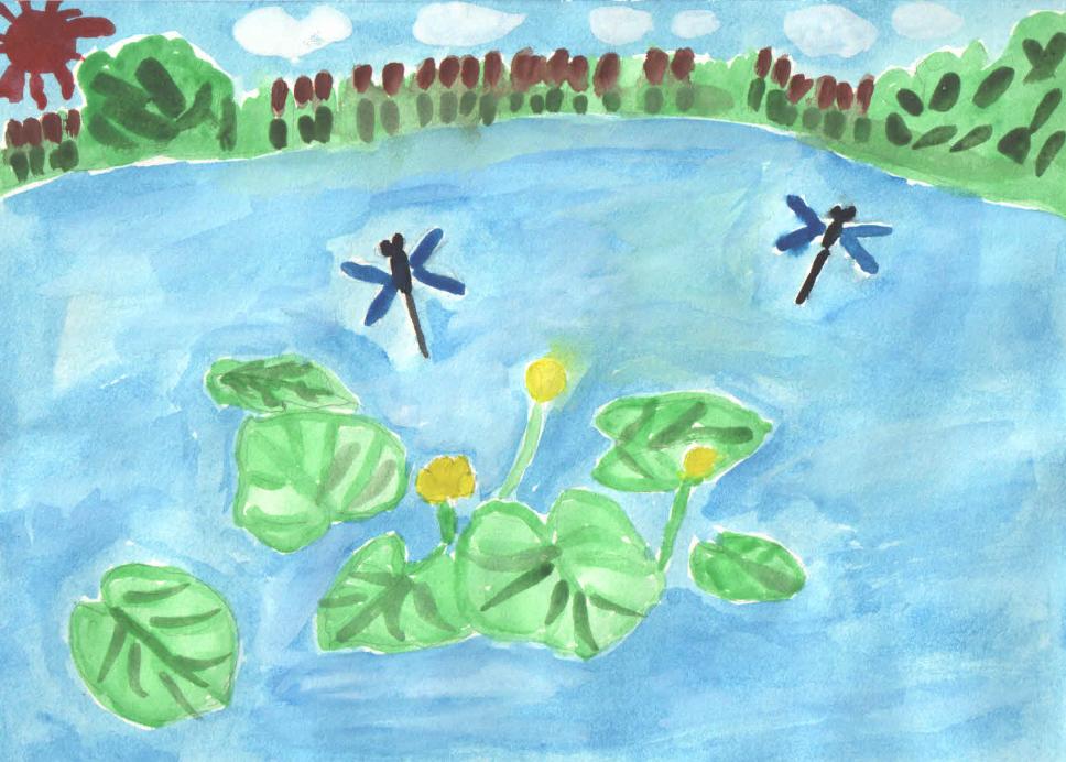 Летом на озере