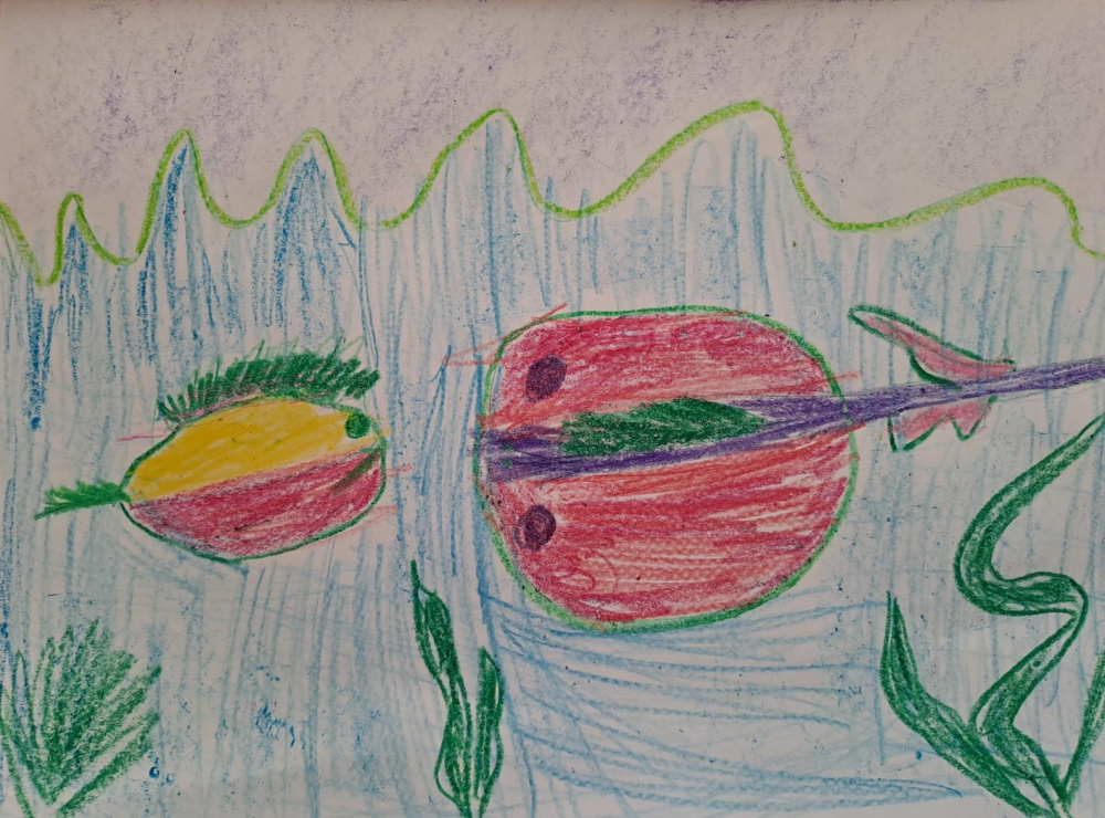 Водные обитатели будущего 