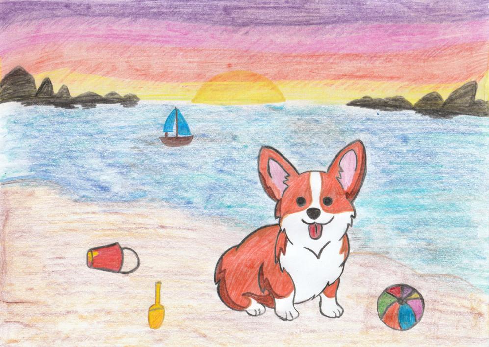 Приключения корги