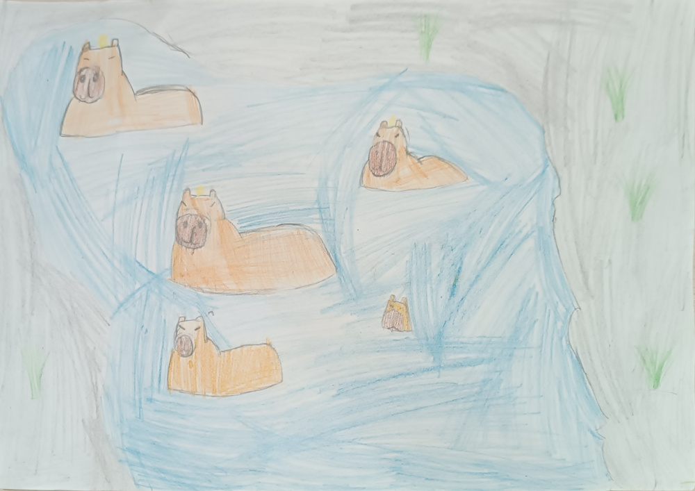 Капибары в водоемы
