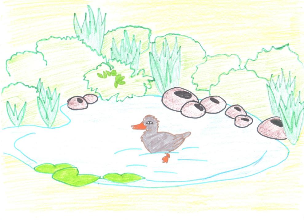 Любимое озеро