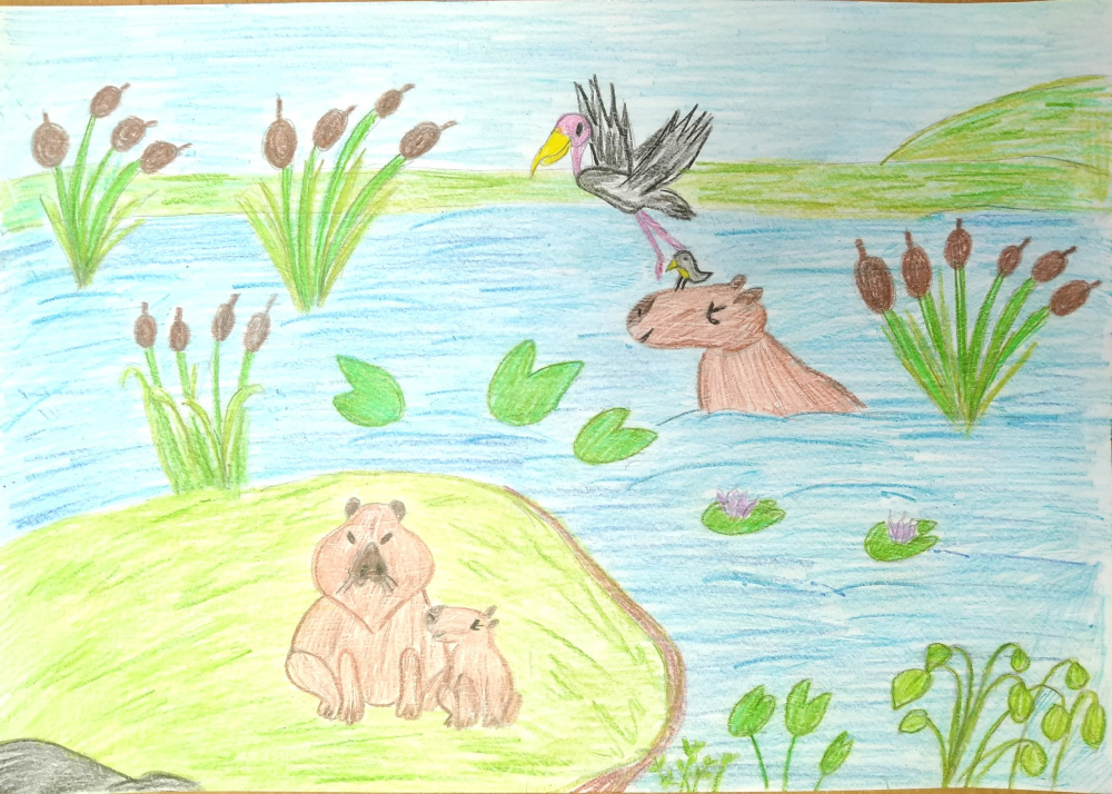 Капибары отдыхают