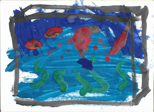 Наш аквариум