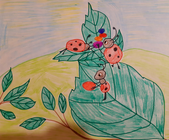 Летнее озеро!