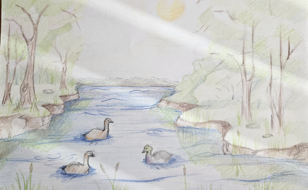 Любимый водоём