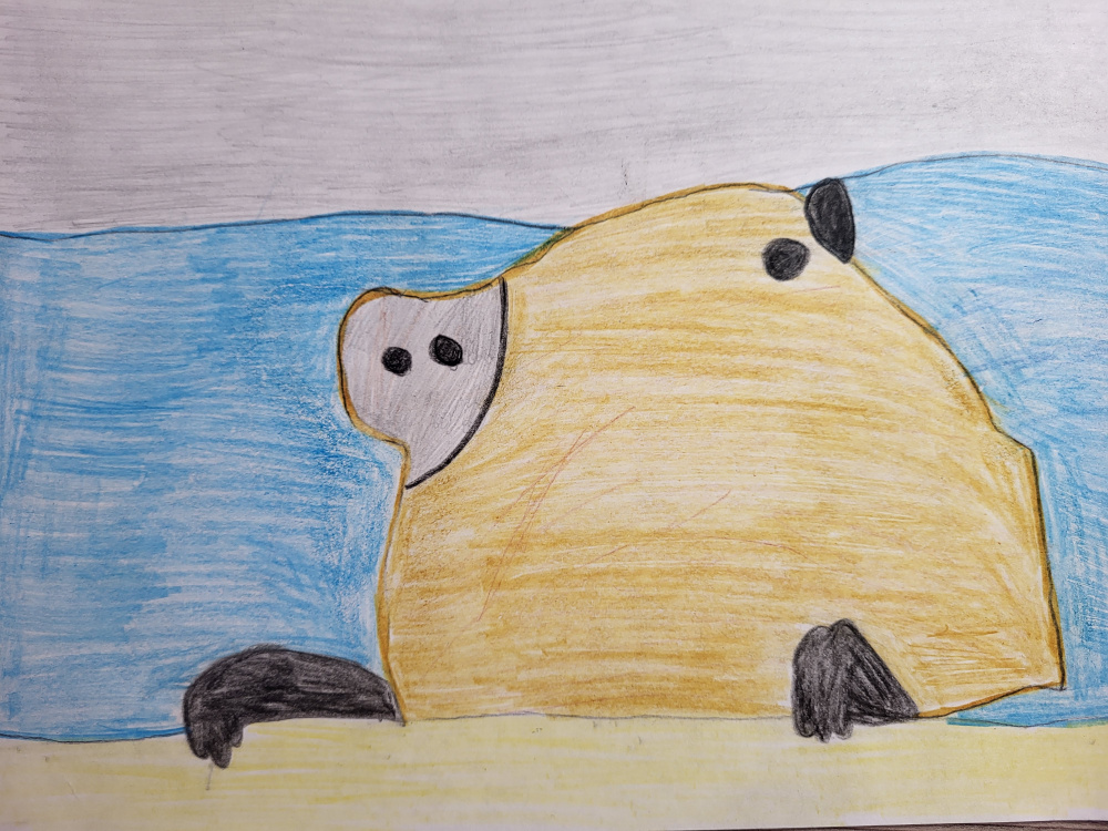 Капибара купается