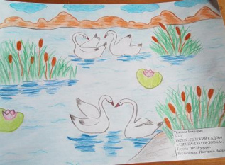 " Мой детский сад"