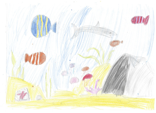 Морское дно океана