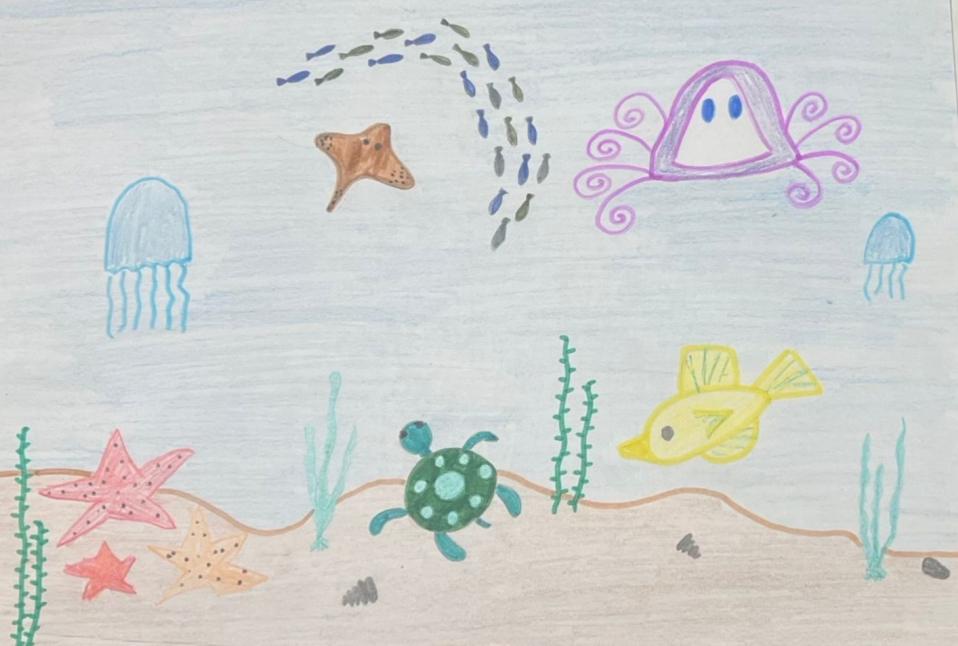 Бескрайний подводный мир