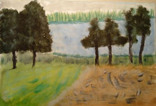 Лесная река