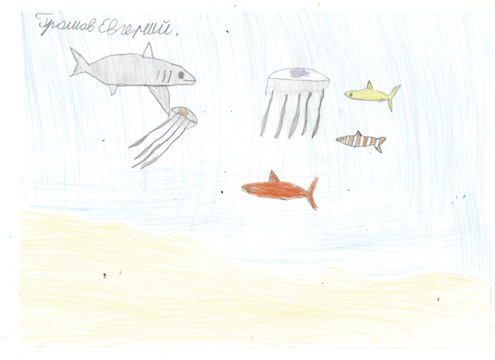 Синий океан