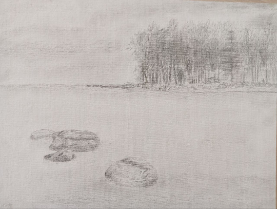 Ладышское озеро