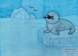 Тюленьчик на Байкале.