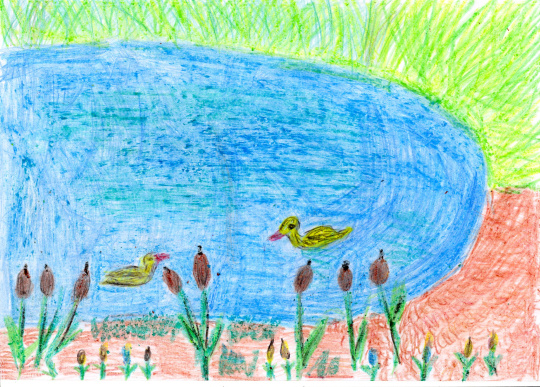 "Зеркало природы"