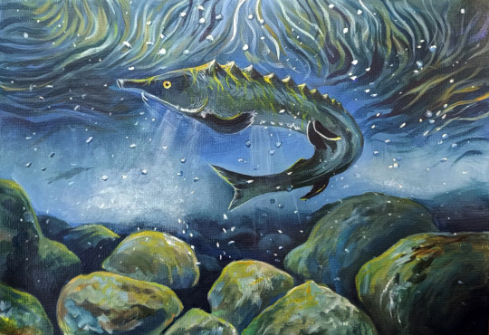 Приднестровски осетр