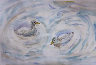 Уточки на пруду 