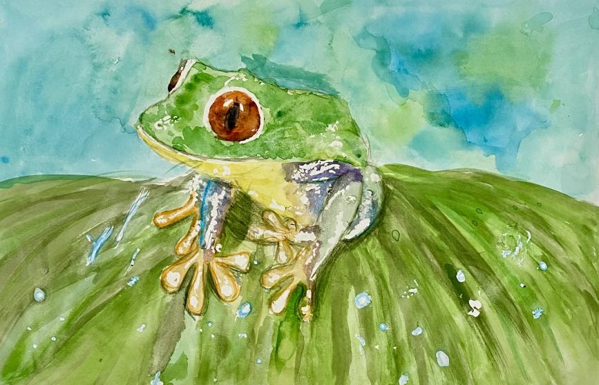 Живые капли