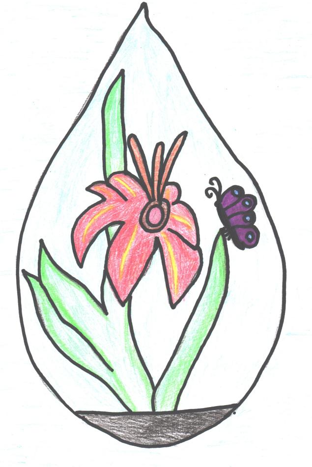 Капля жизни