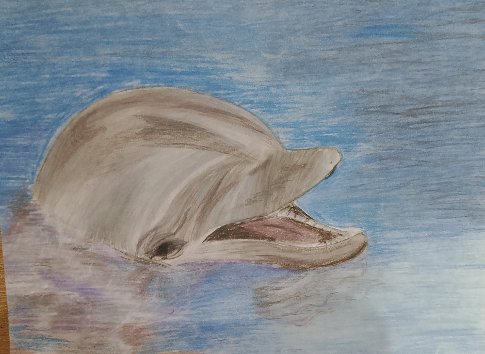 Я к вам в гости!