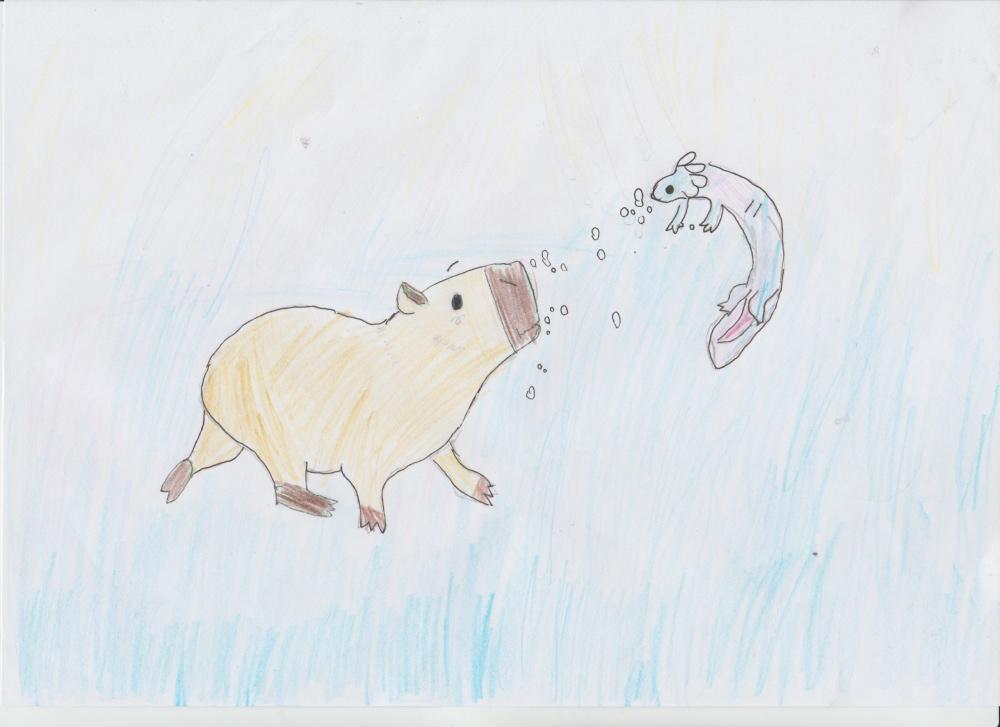 Мой друг Акселотоль