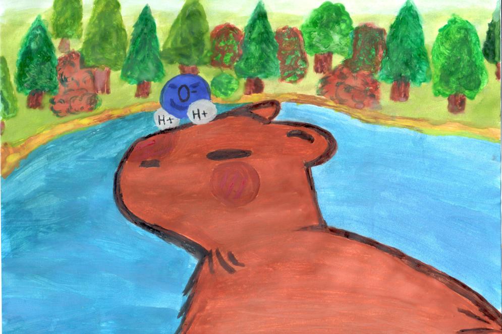 Знакомство Капибары и молекулы воды