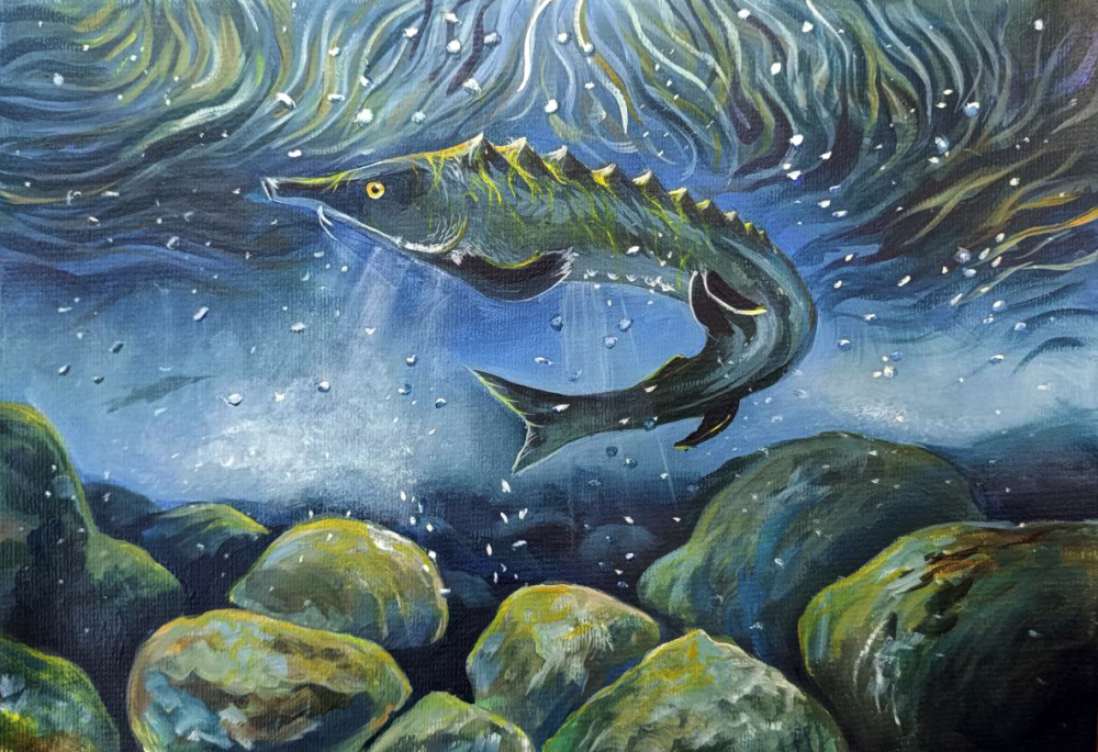 Приднестровски осетр