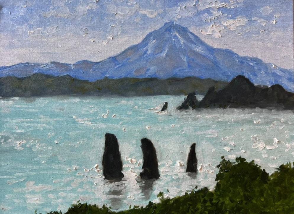 Авачинская бухта, Камчатский край