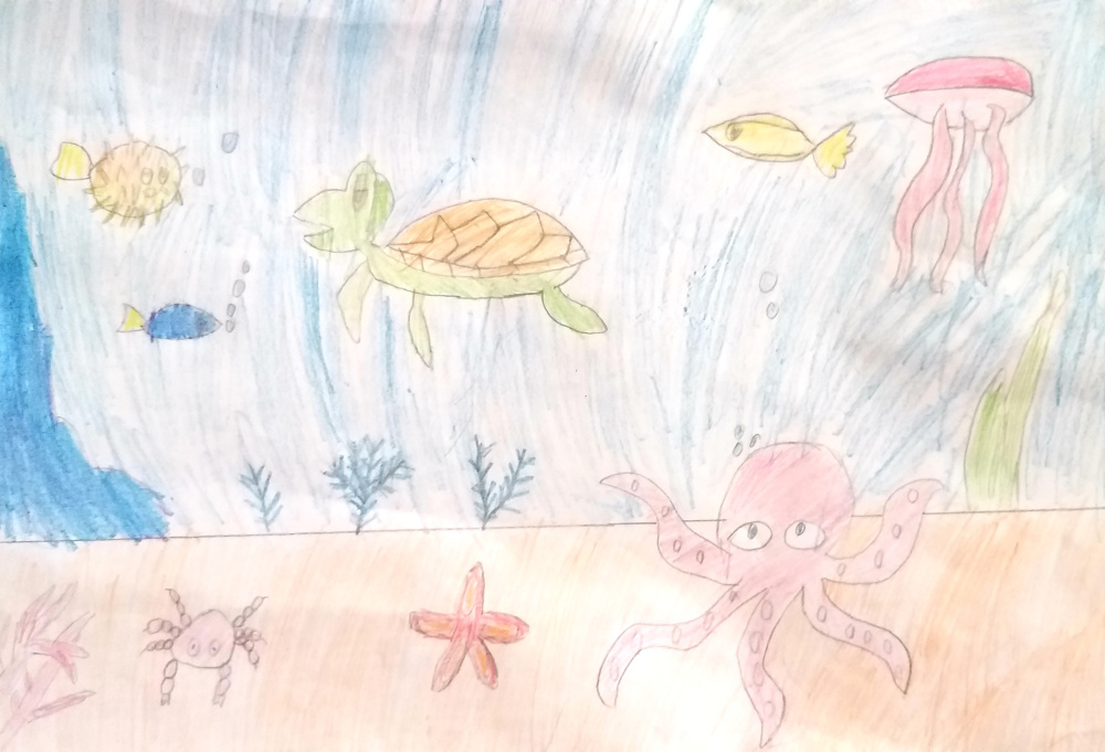 Подводный мир